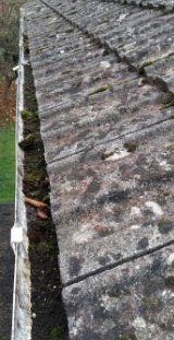 Guttering Clogged