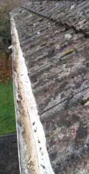 Guttering Cleared