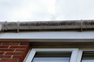 Gutter, Fascias & Downpipe Cleaning